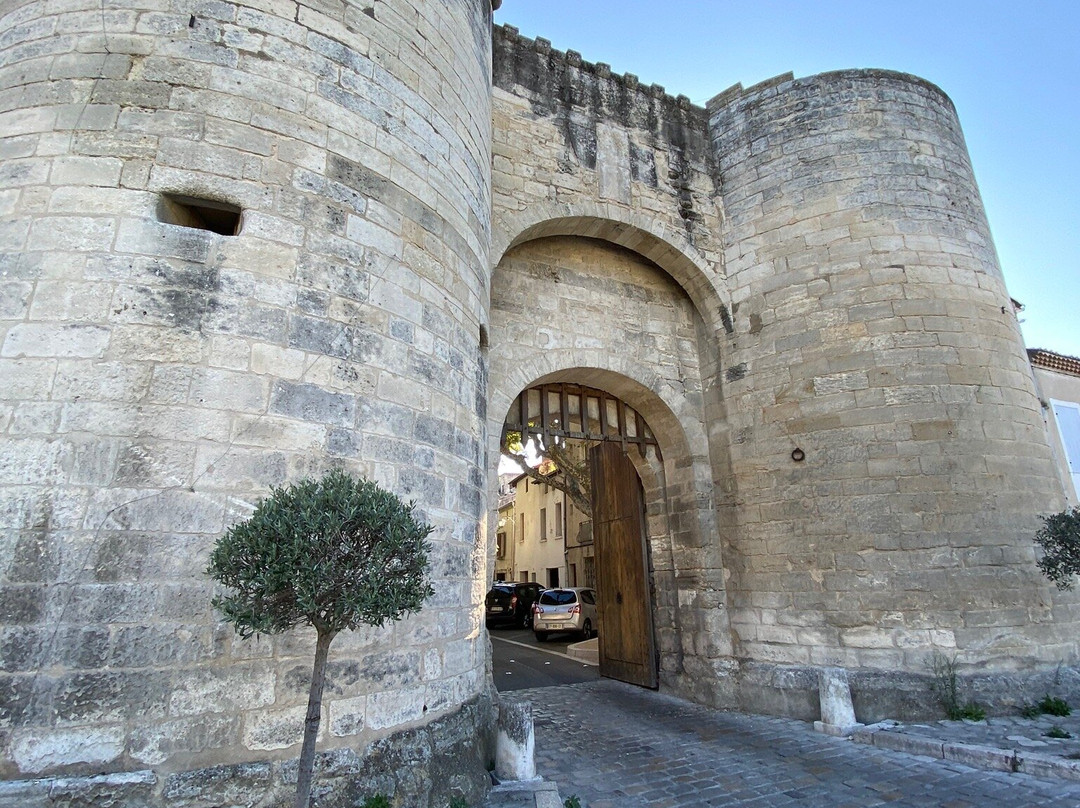 Porte Condamine Tarascon City Gate景点图片