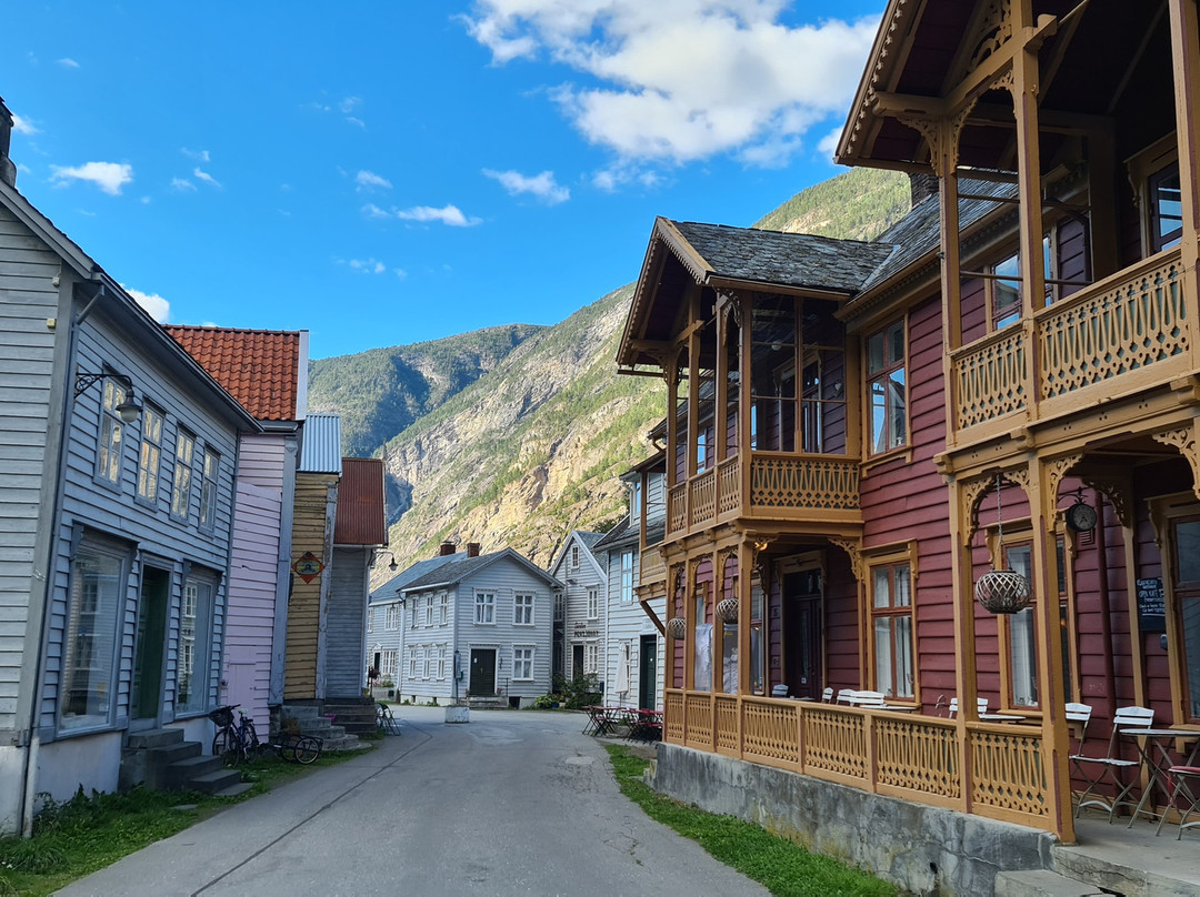 Gamle Laerdalsoeyri-Laerdalsoyri必去景点