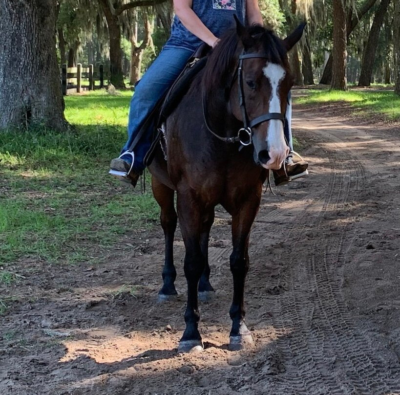 Daufuskie Trail Rides-Daufuskie Island必去景点