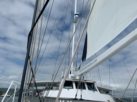 Wavedancer Low Isles Cruise-道格拉斯港必去景点