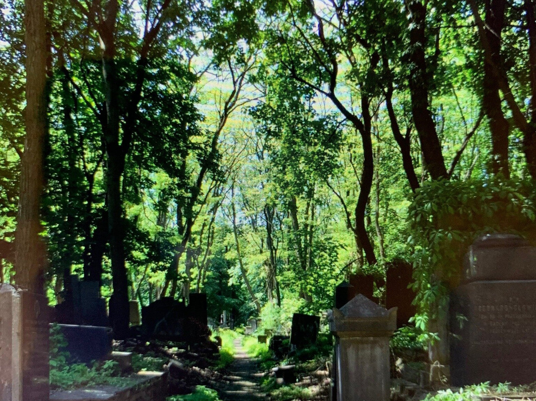 Jewish Cemetery (Cmentarz Zydowski)景点图片