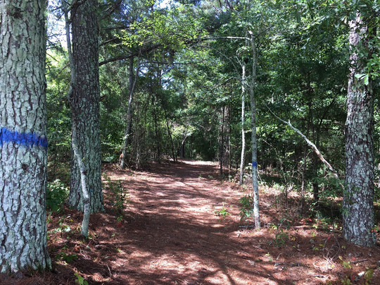 West Walton Park-Loganville必去景点