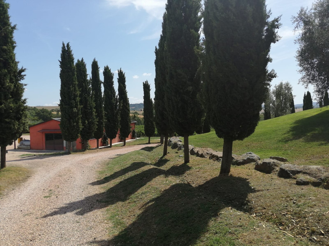 Capua Winery景点图片