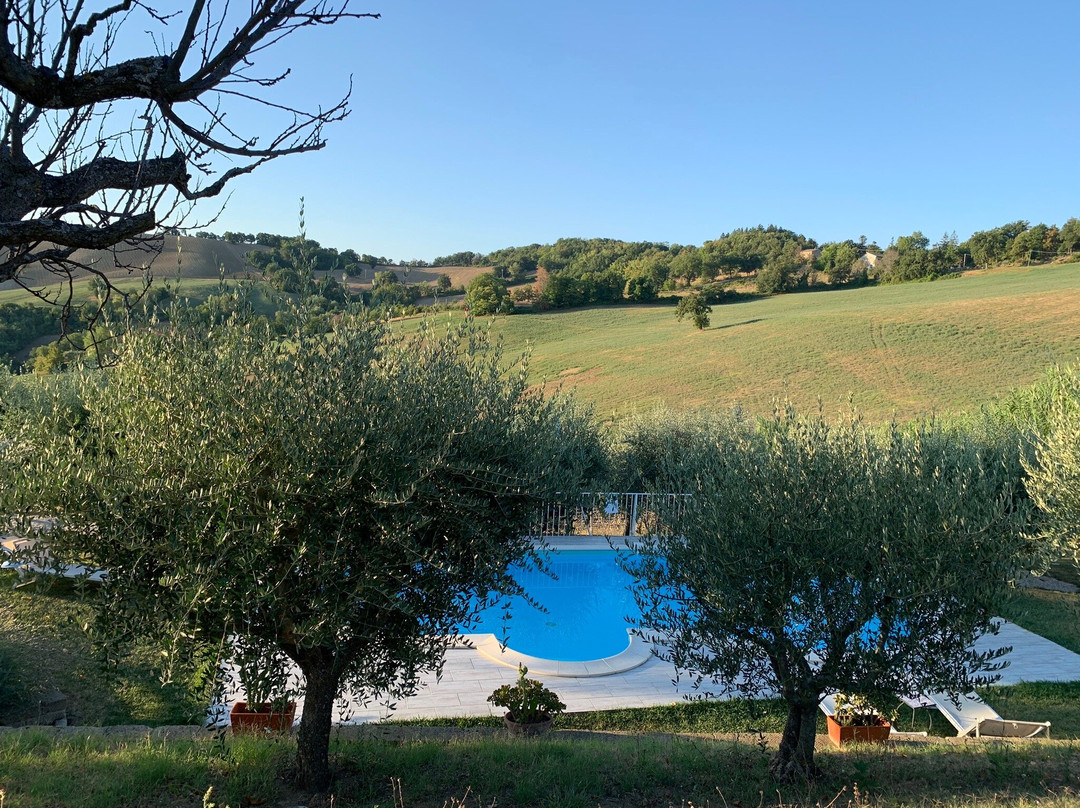 Podere del Fagiano主图