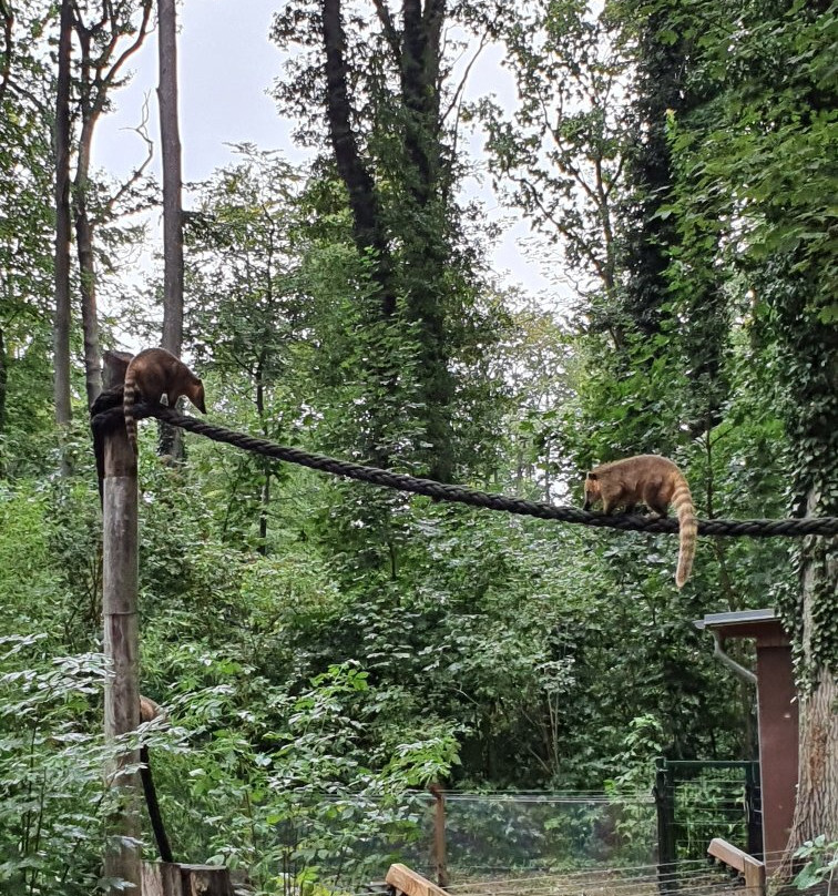 Tierpark Wolgast景点图片
