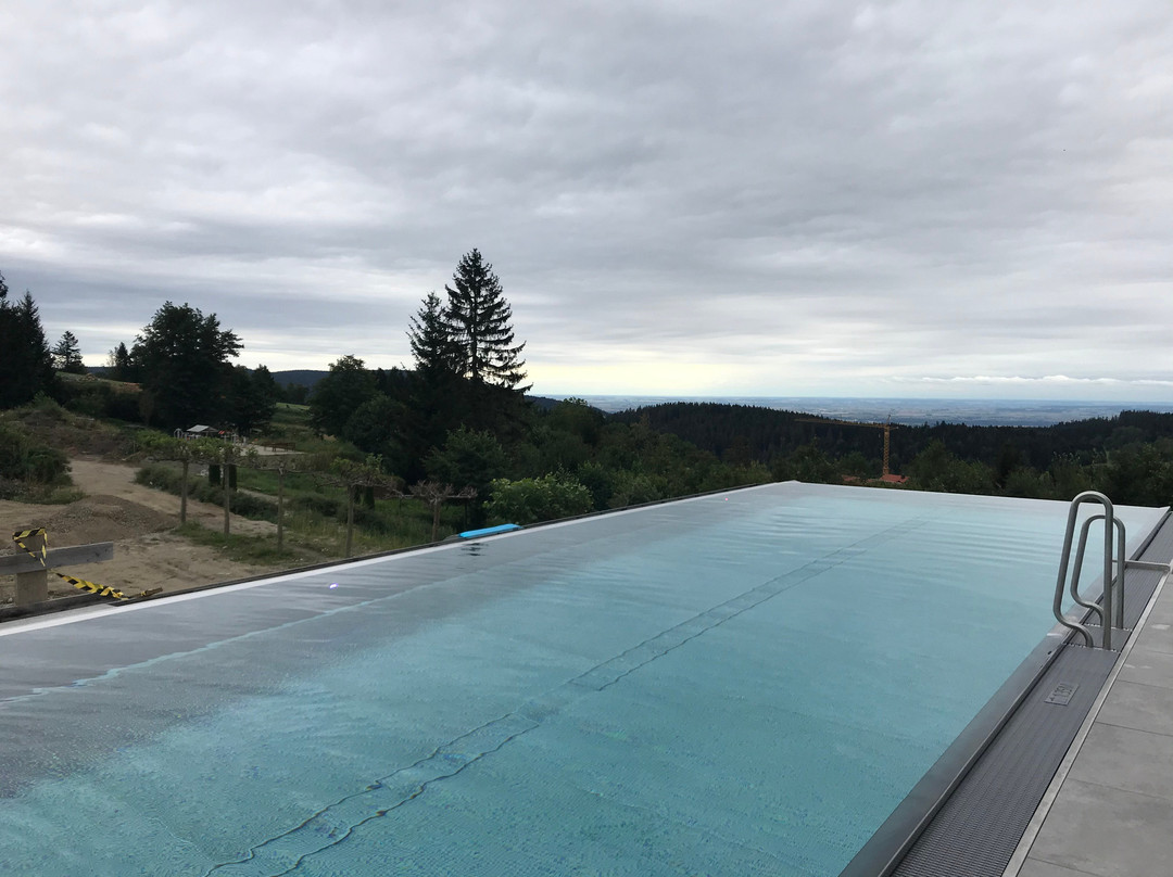 Angerhof Sport- & Wellnesshotel im Bayerischen Wald主图