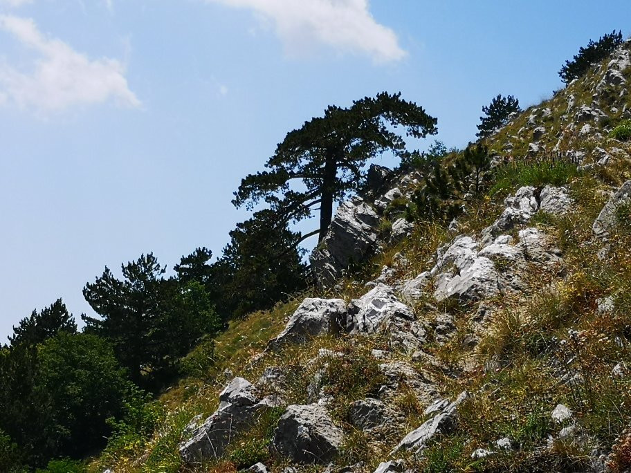Belvedere Del Malvento景点图片