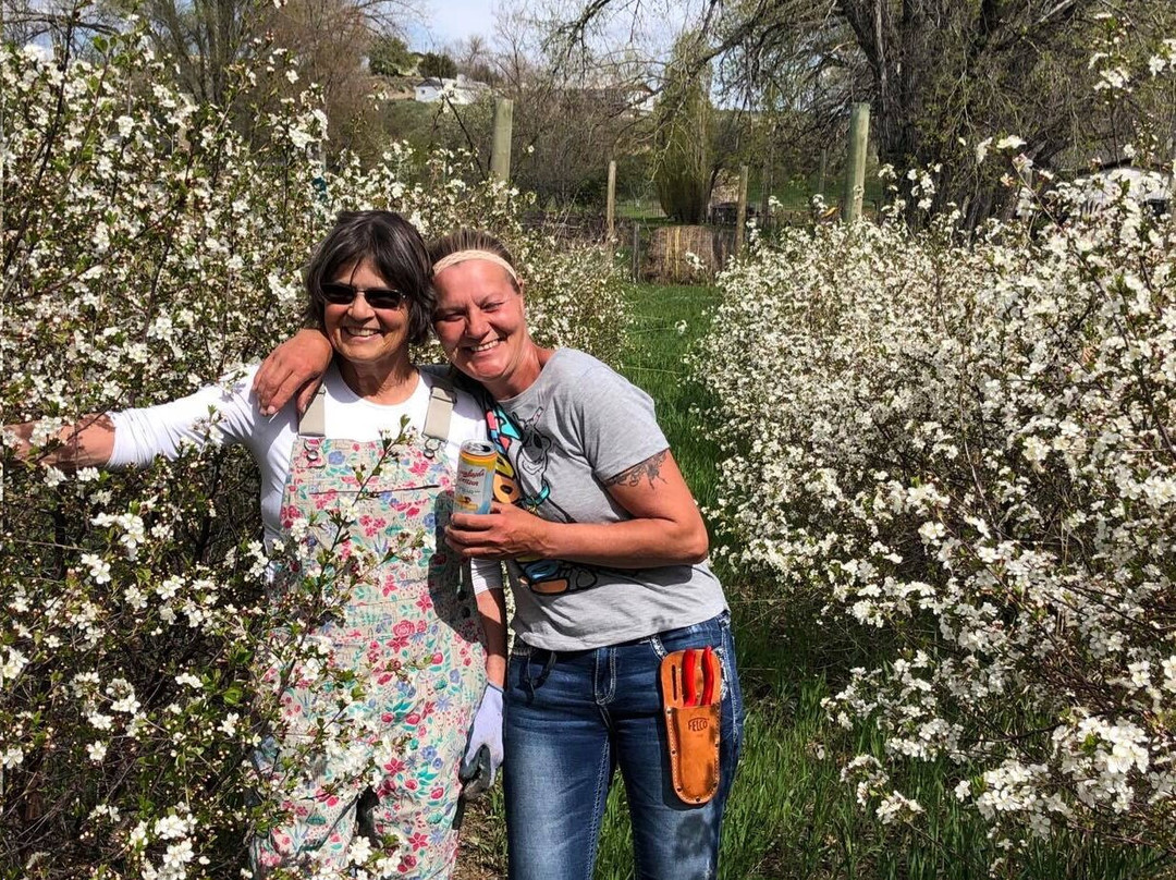 Tongue River Winery-迈尔斯城必去景点