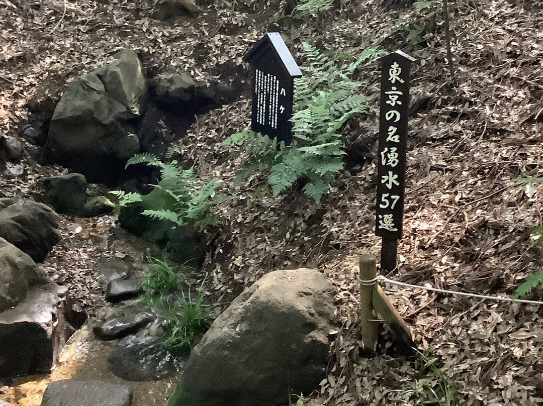 Sorosenen-小金井市必去景点