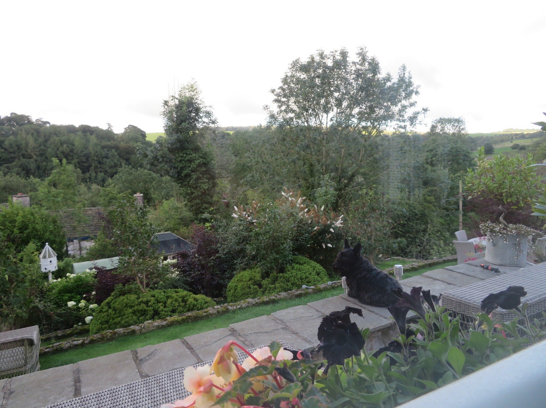 The Garden Bed & Breakfast主图
