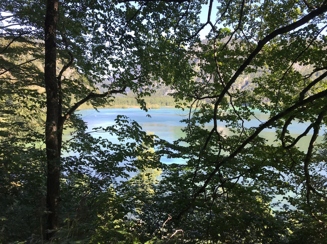 Almsee-Grünau im Almtal必去景点