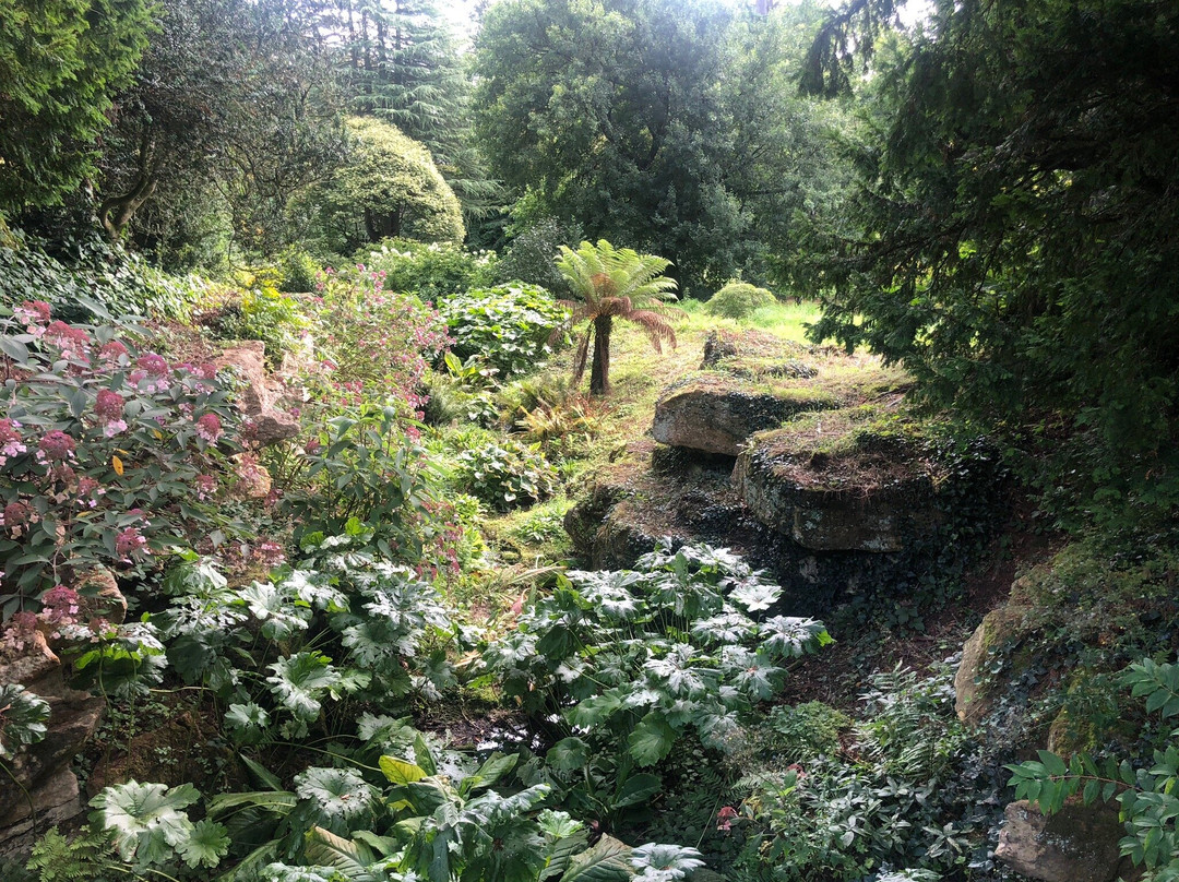 Batsford Arboretum景点图片