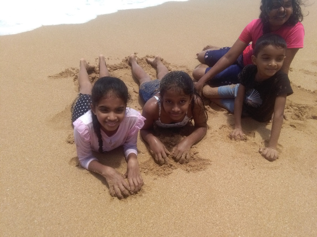 皇家海滩度假村主图