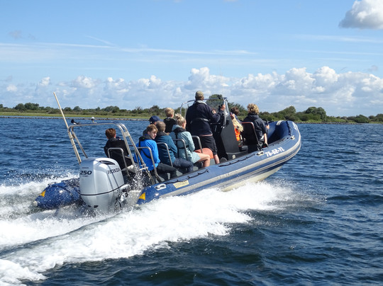 Dolphin Events-鹿特丹必去景点