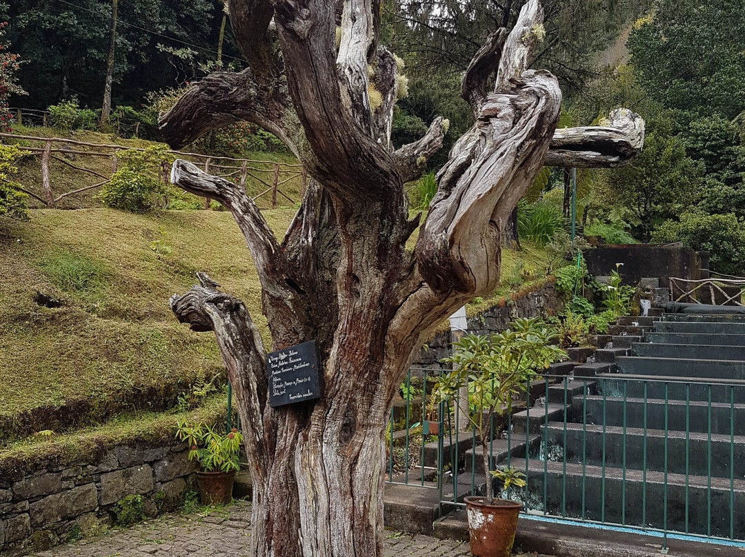 Posto Aquicola do Ribeiro Frio-Santana必去景点
