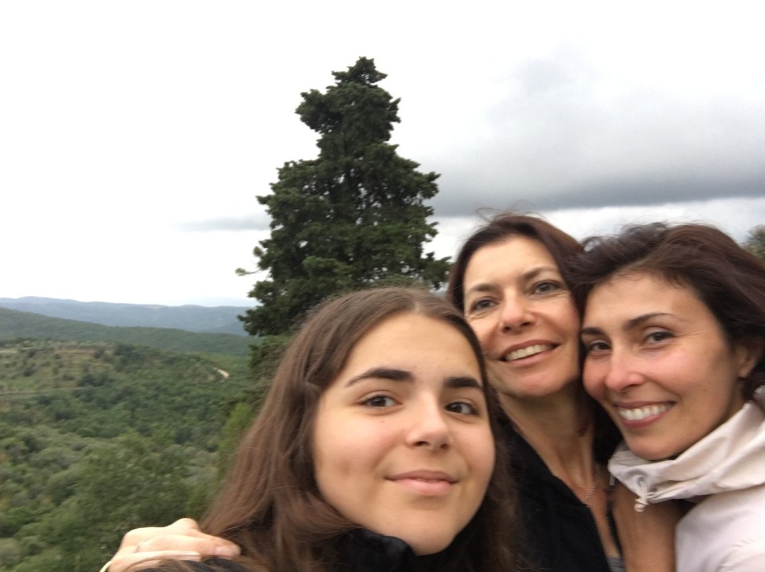 Agriturismo Centro Ippico della Berardenga主图