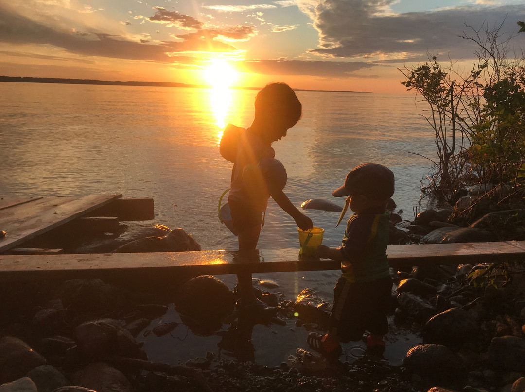 Silver Birches Resort主图