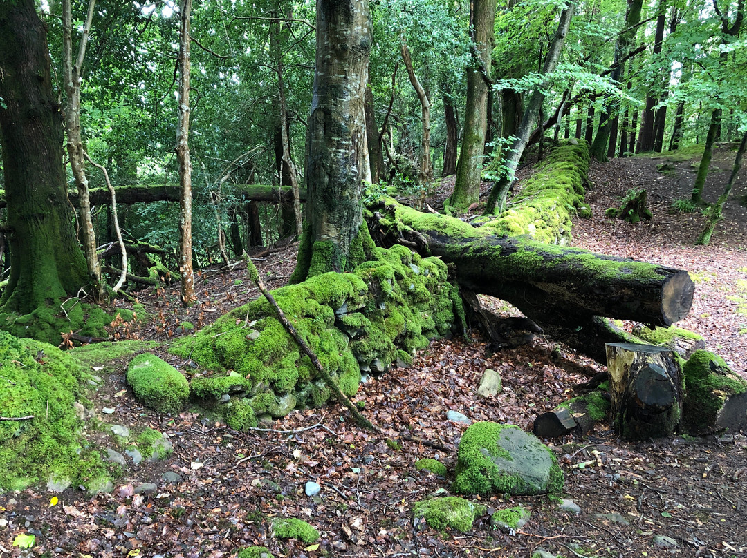 Cloghereen Blue Pool Walk-基拉尼必去景点
