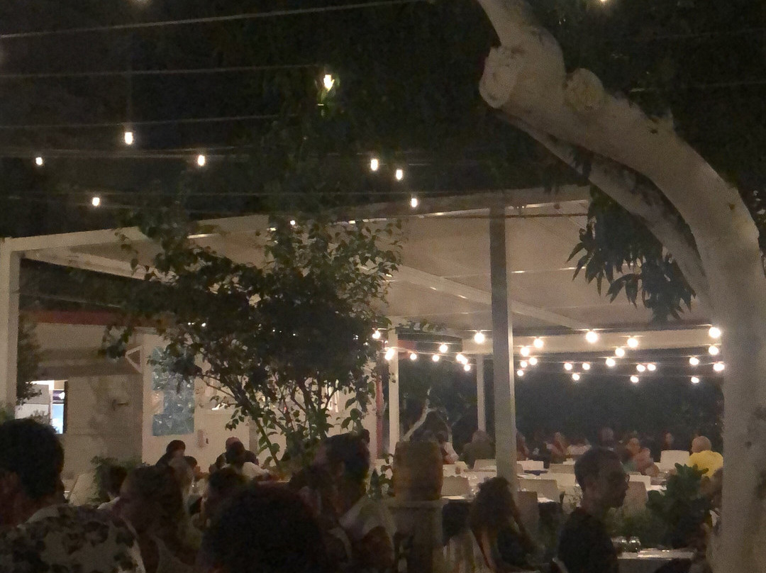 Lievito Madre Palace主图