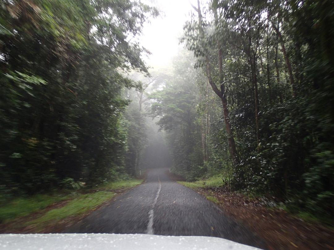 Tully Falls National Park-Ravenshoe必去景点