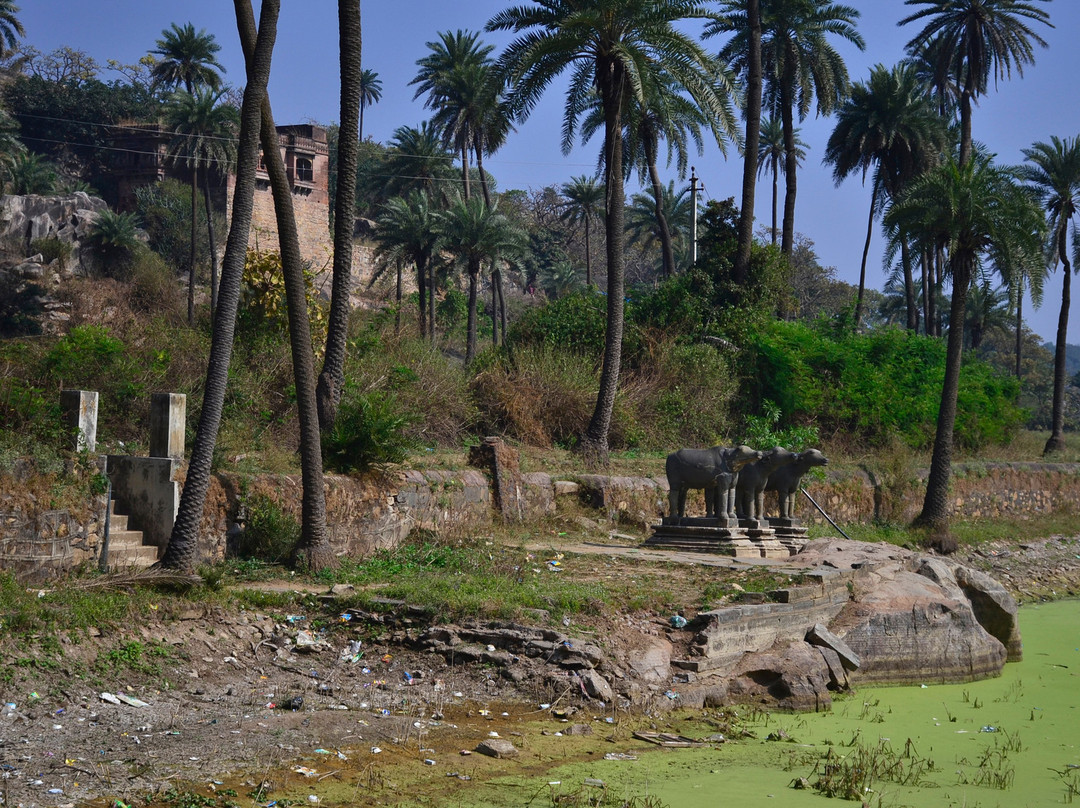 Achalgarh Fort景点图片