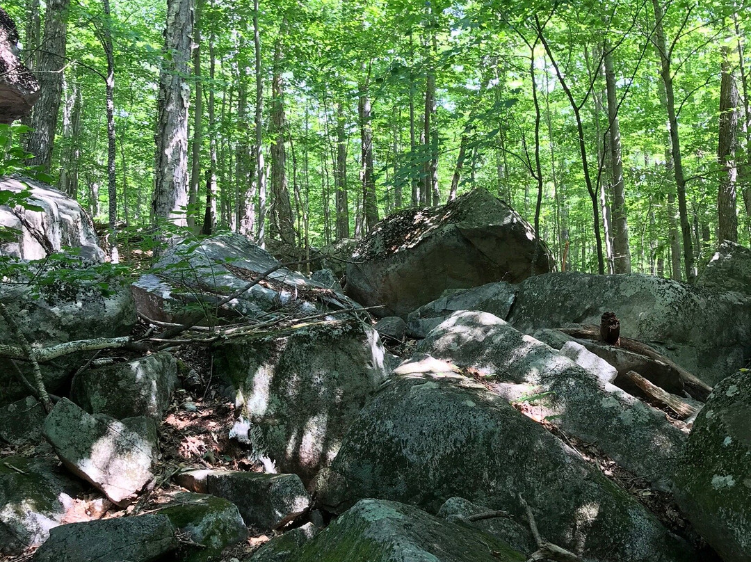 Boulder Loop Trailhead-Albany必去景点