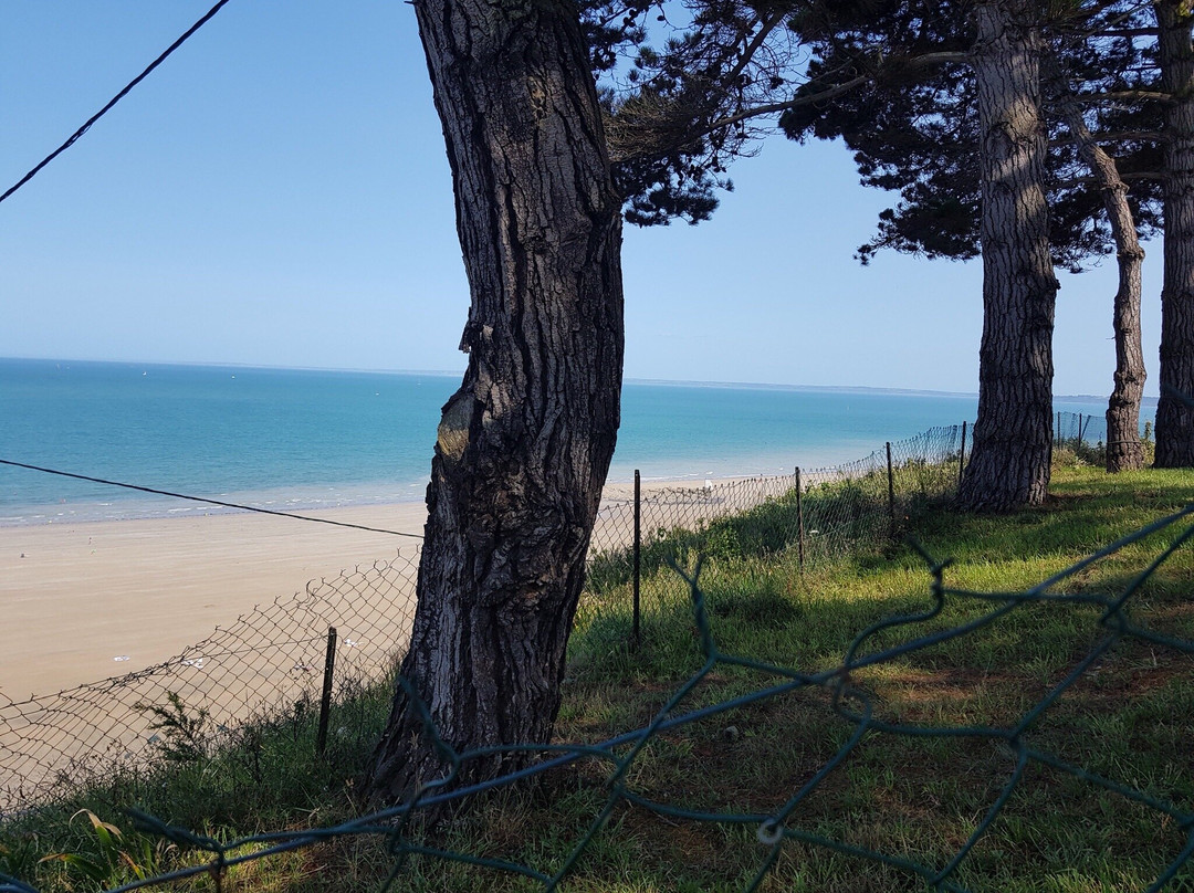 Plage des Godelins景点图片