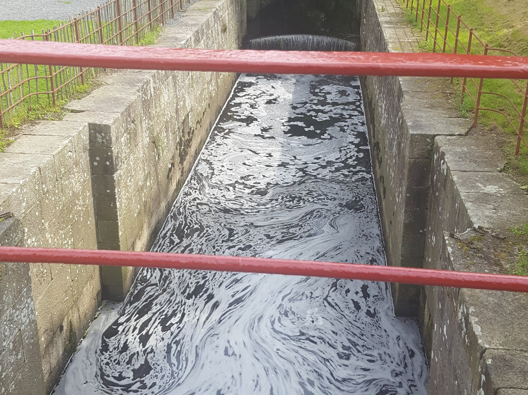 Newry Canal Towpath景点图片