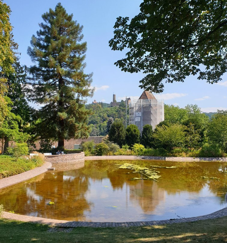 Exotenwald Weinheim-魏因海姆必去景点