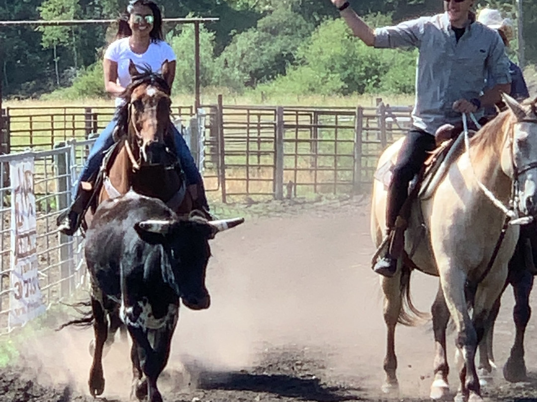 Introduction To Rodeo-威尔逊必去景点