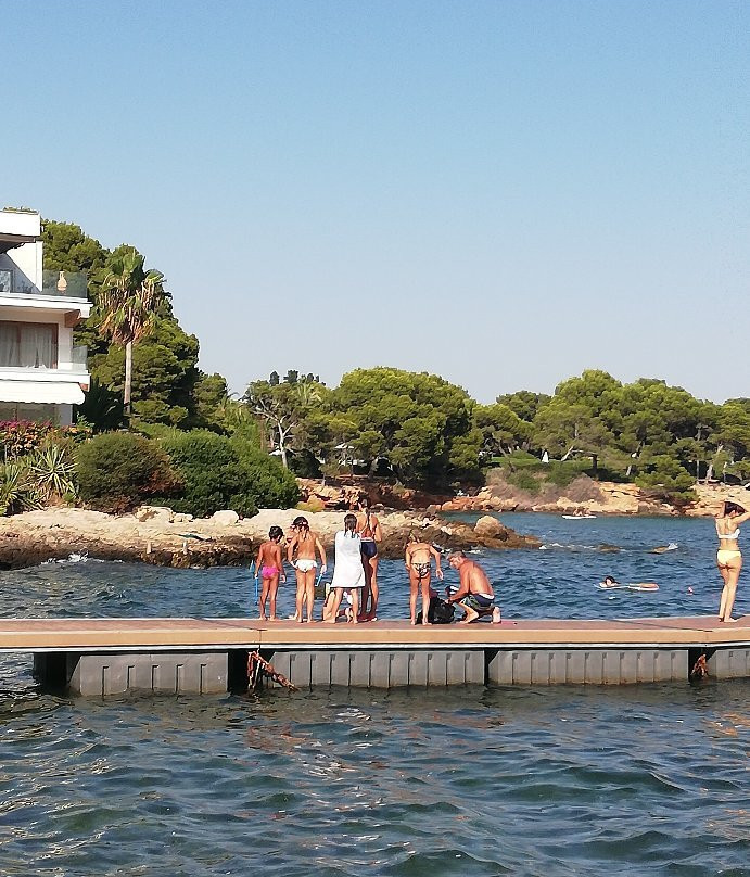 Palma Diving景点图片