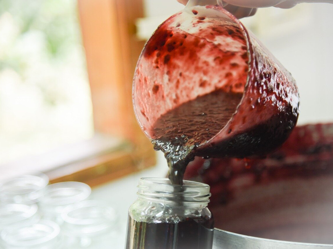 Abalauquen-Lago Puelo必去景点