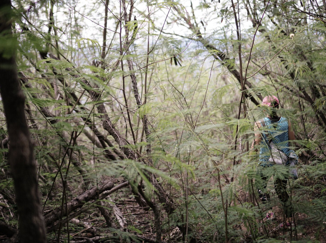 禁断岛-塞班岛必去景点