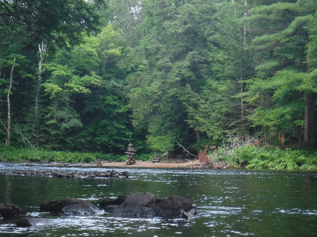 Oxtongue River-Ragged Falls Provincial Park景点图片