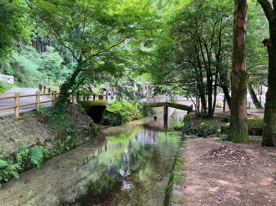 別府弁天池湧水-美祢市必去景点