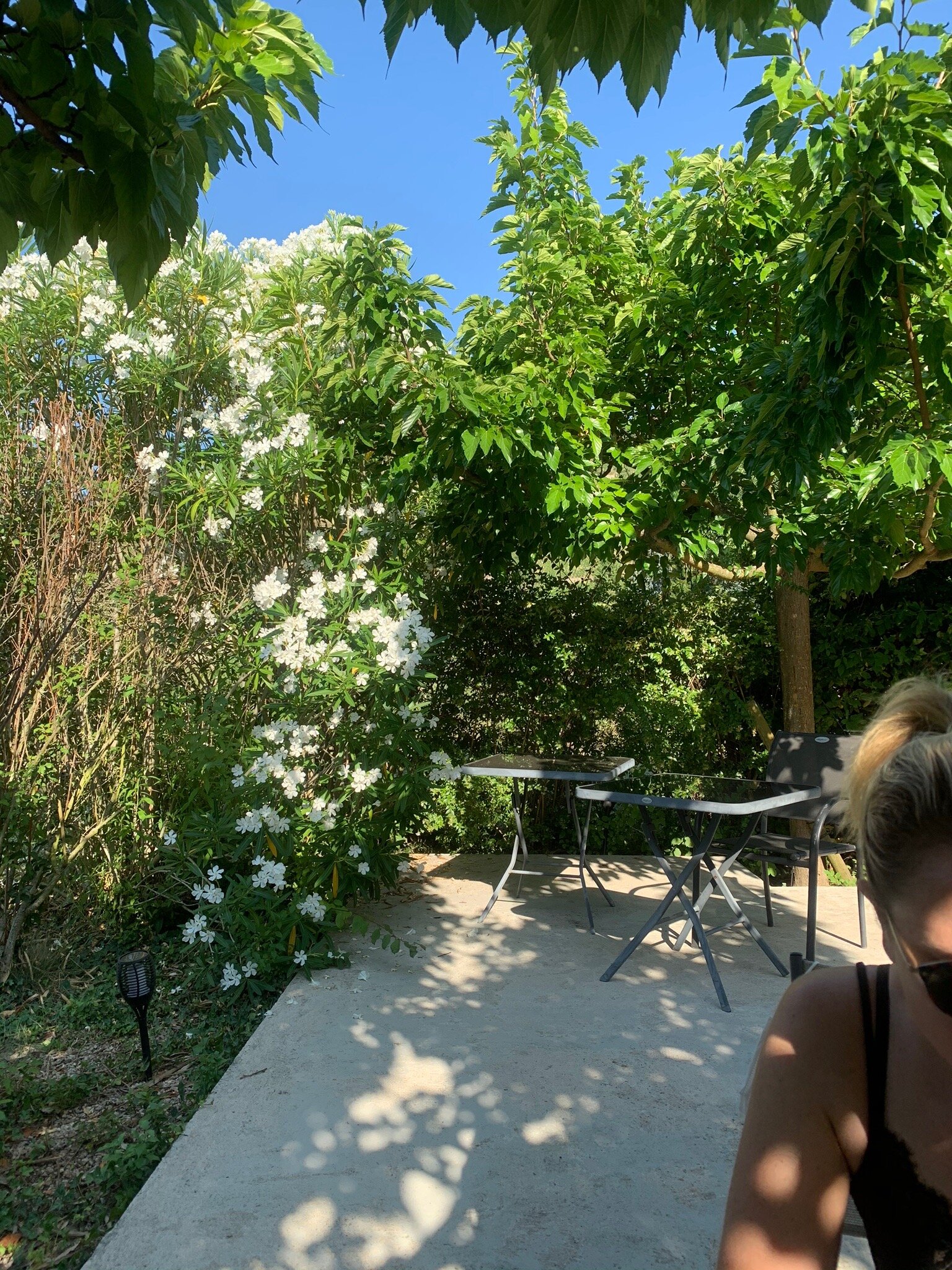 Hotel Le Domaine des Vignes-官方
