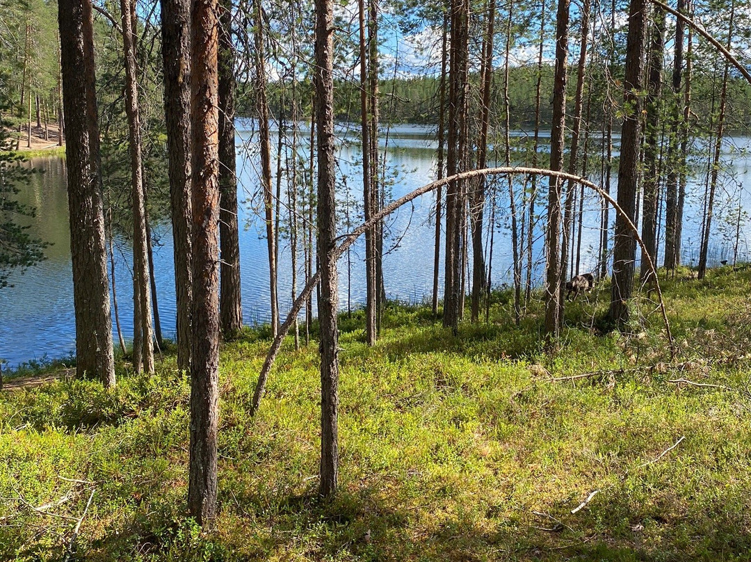 Hossa National Park-Suomussalmi必去景点