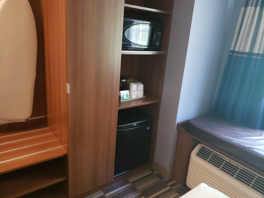 Microtel Inn & Suites by Wyndham Gardendale主图