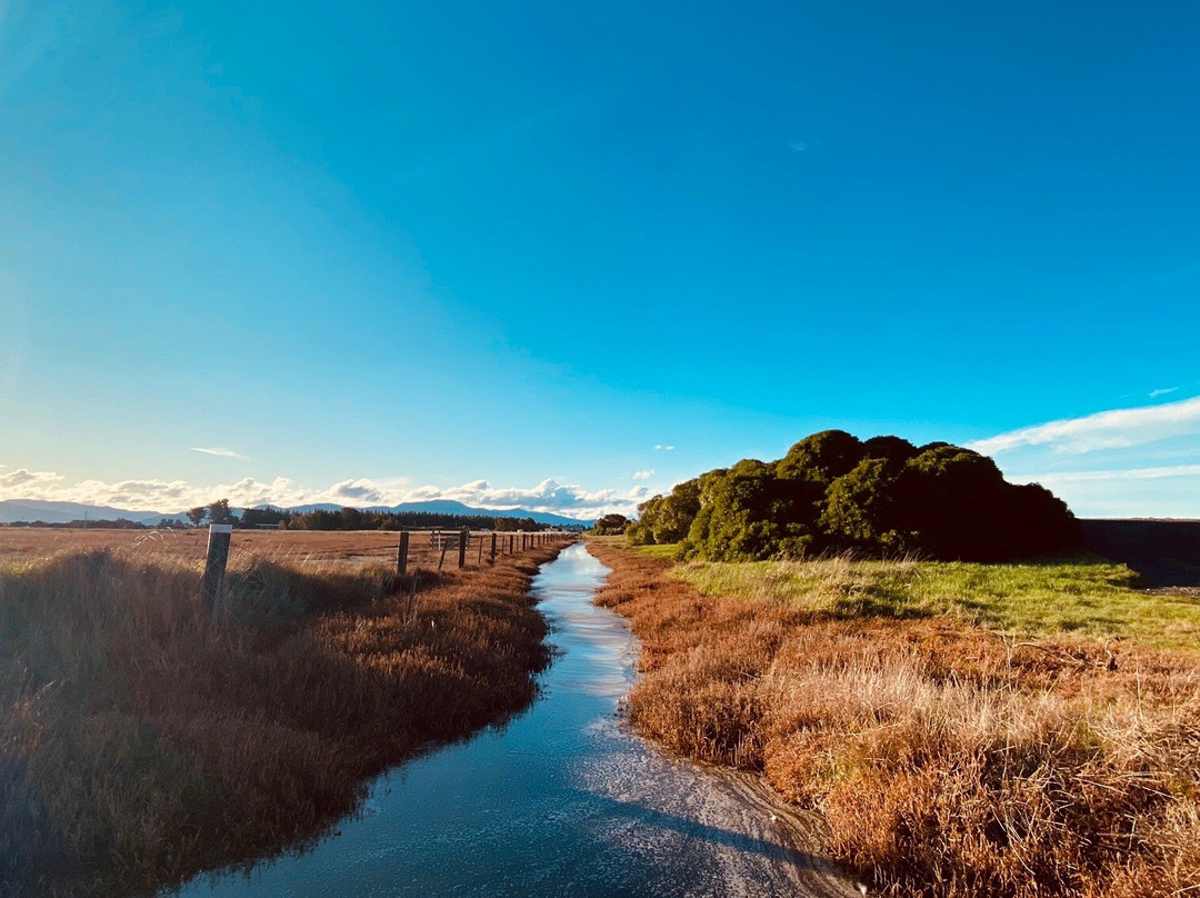 Wairau Lagoons Walkway景点图片