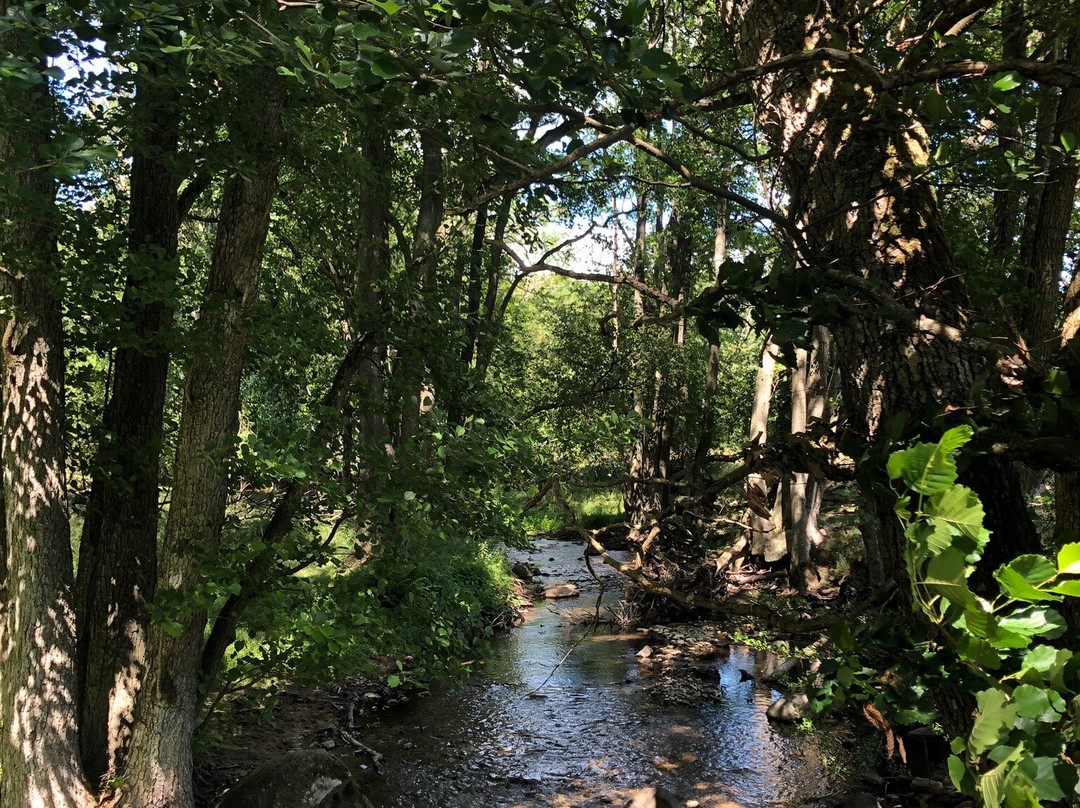 Drakamollan Gardshotell主图