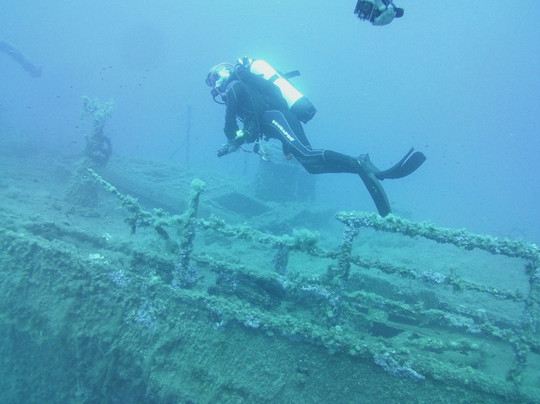 IL DELFINO DIVING ASD-奥尔比亚必去景点