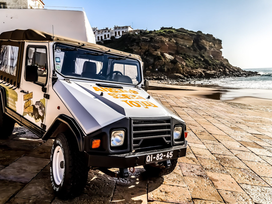 Algarve Safari Tours-拉各斯必去景点