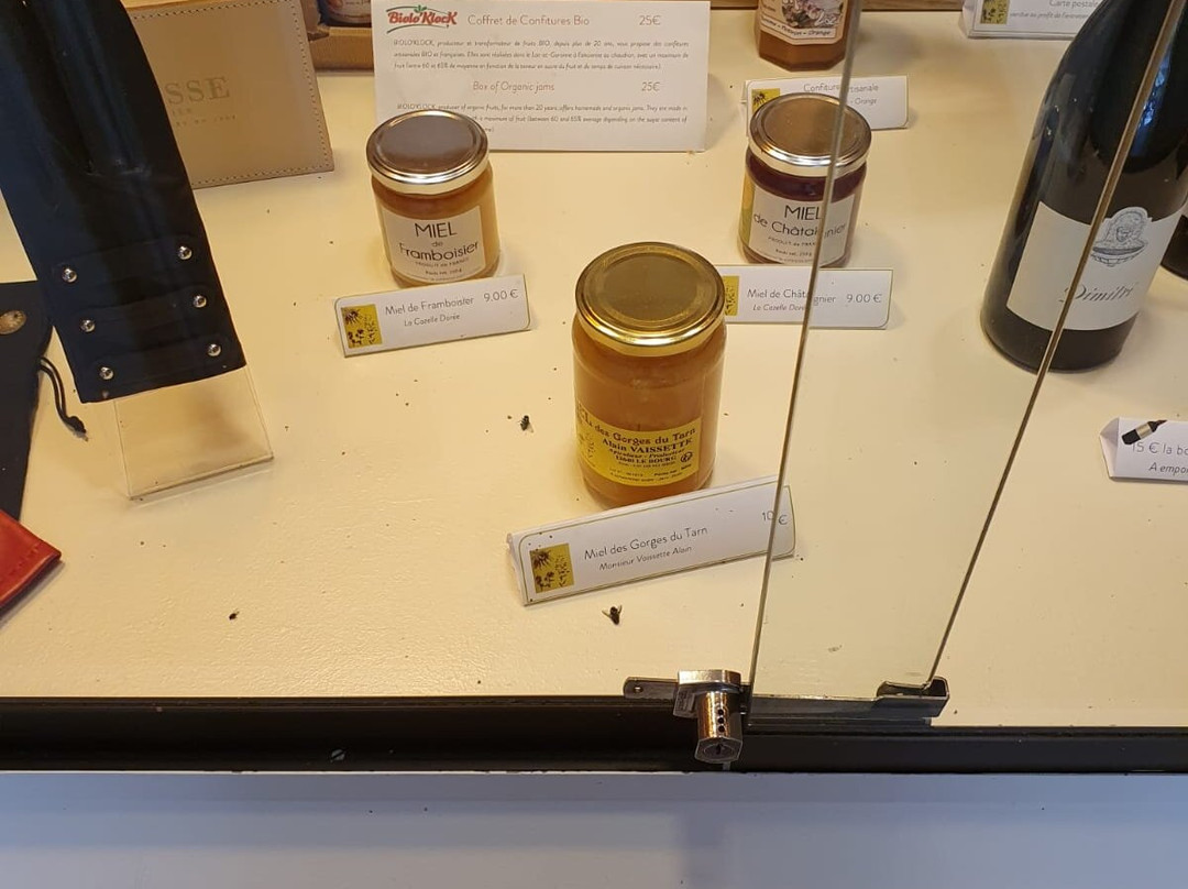 Hôtel de la Muse et du Rozier主图