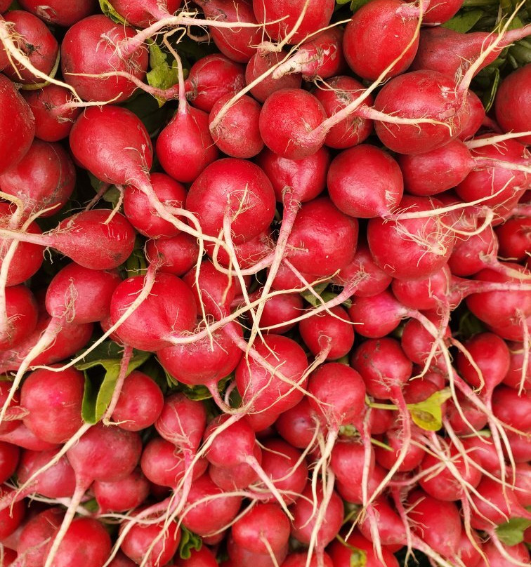 Buffalo River Artisans Cooperative-Linden必去景点