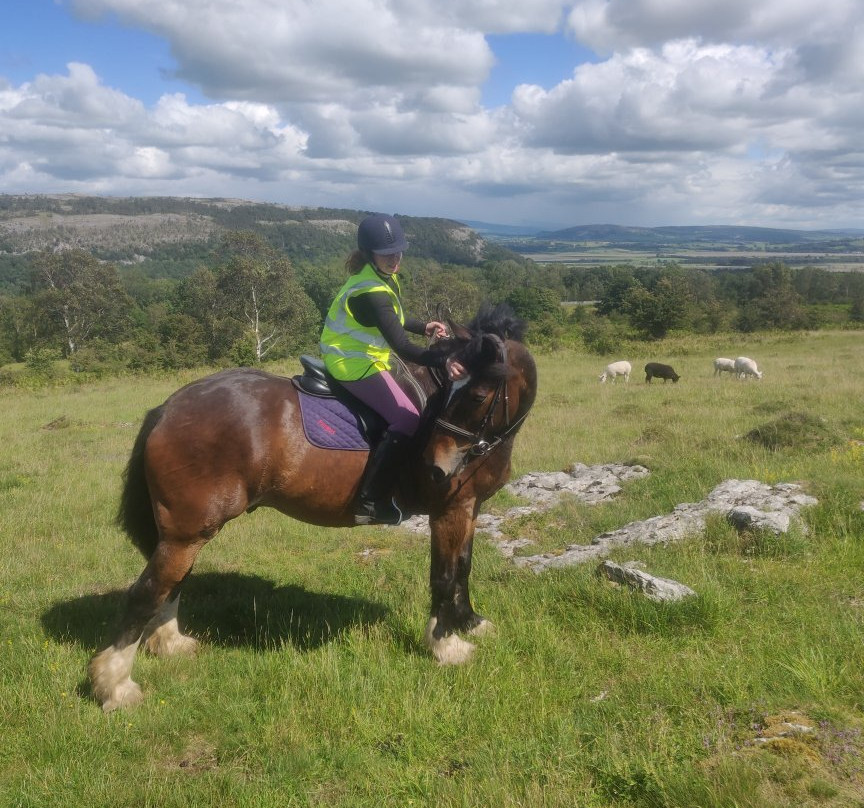 Witherslack Hall Equestrian Centre-Grange-over-Sands必去景点