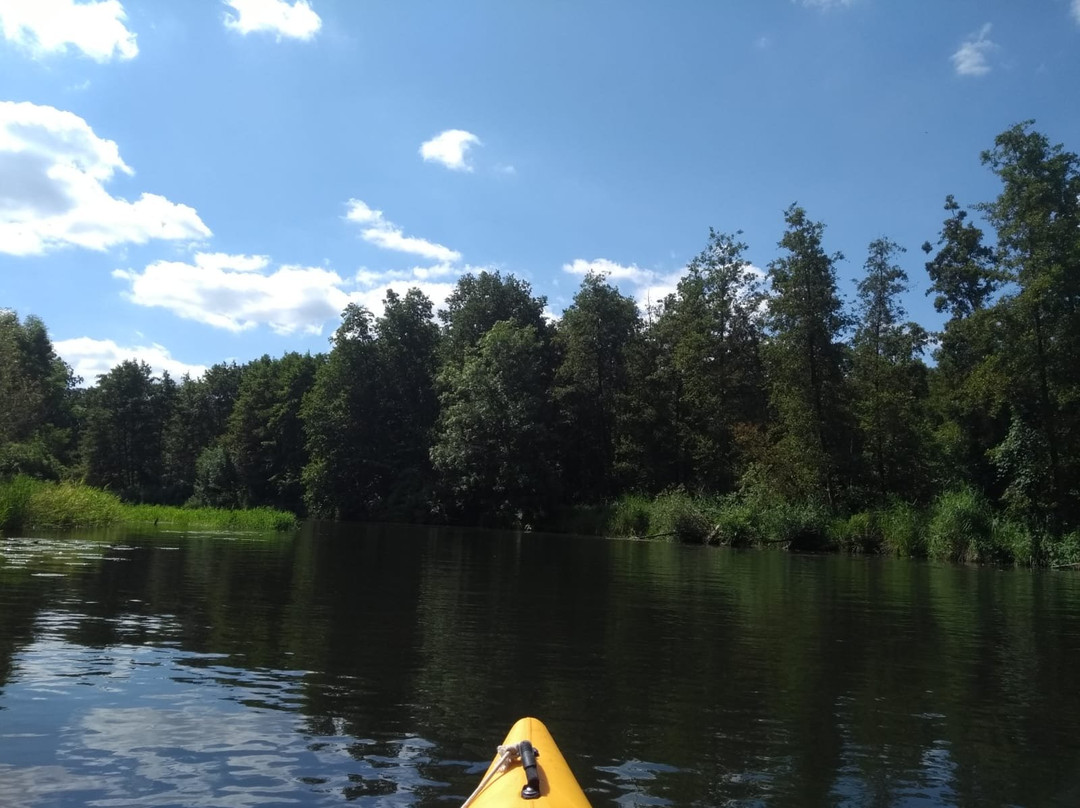 Spreewald Biosphere Reserve-Raddusch必去景点