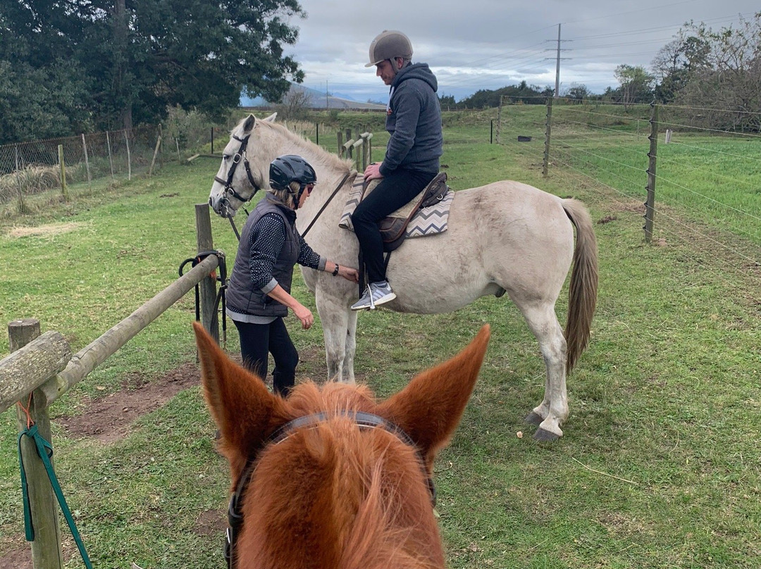 Perdepoort Horse Tails-荒野必去景点