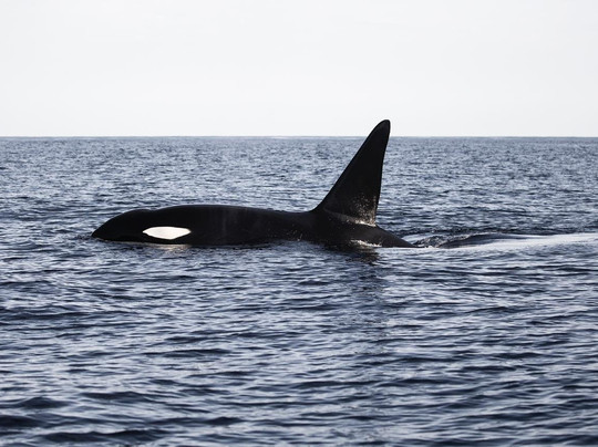 Baja My Love-圣何塞卡波必去景点