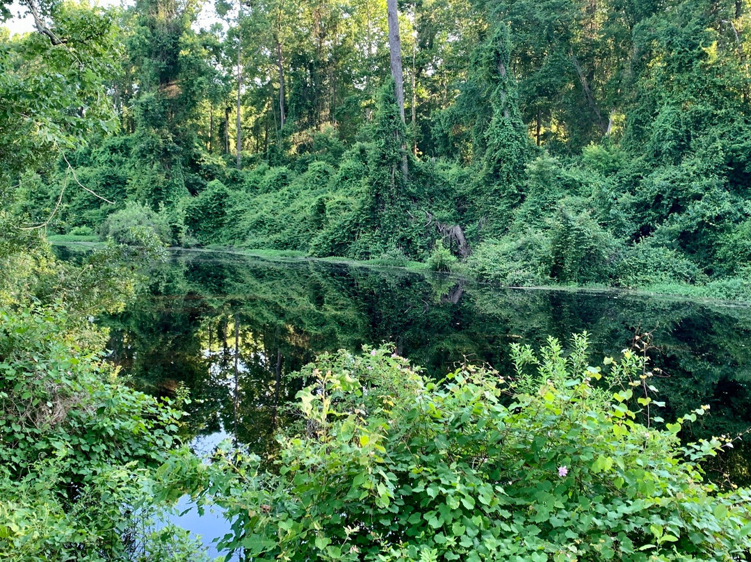 Dismal Swamp Canal Welcome Center景点图片
