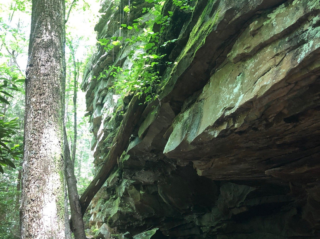 Stinging Fork Falls-Spring City必去景点